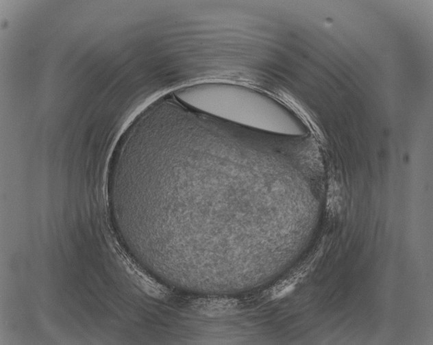 X0000084560884200703091742