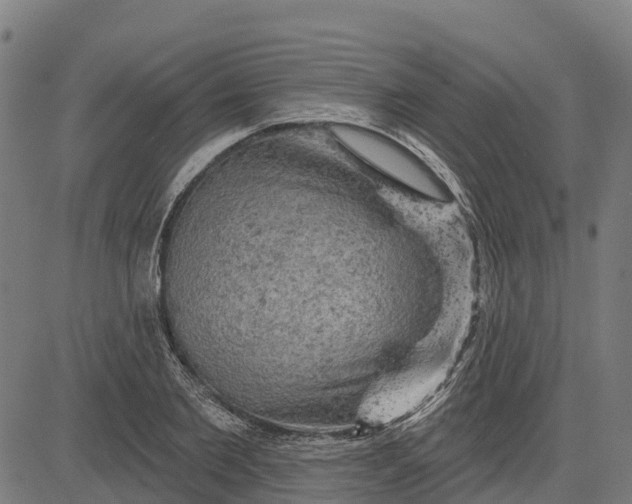 X0000084560885200703091742