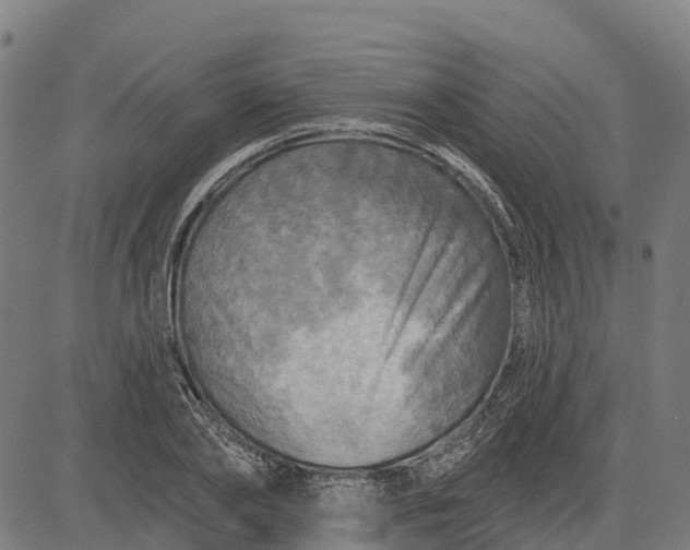 X0000084560886200703091742