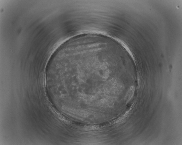 X0000084560887200703091742