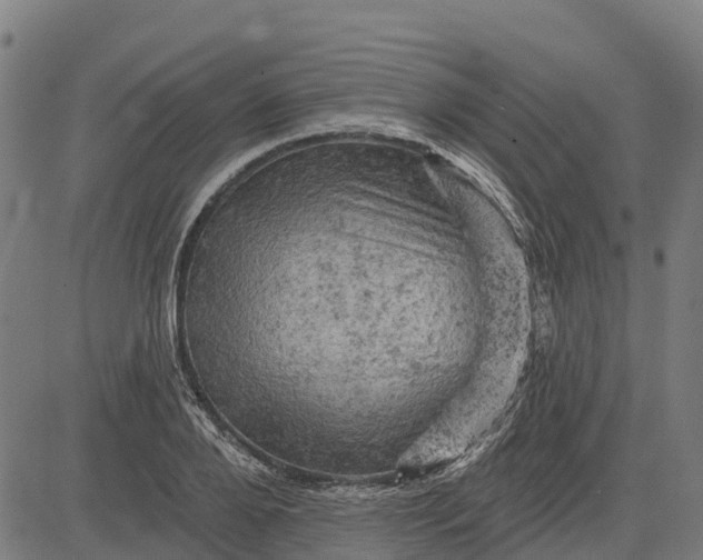 X0000084560888200703091742