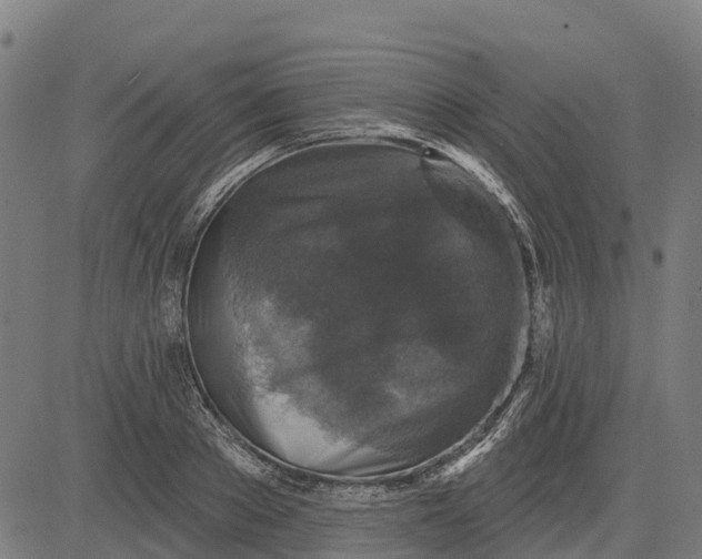 X0000084560889200703091742