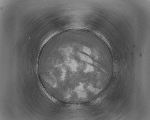 X0000084560890200703091742