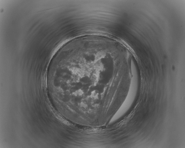 X0000084560891200703091742