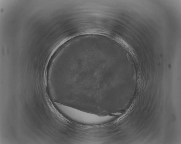 X0000084560892200703091742