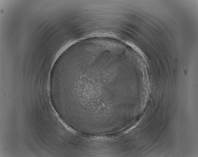 X0000084560894200703091742