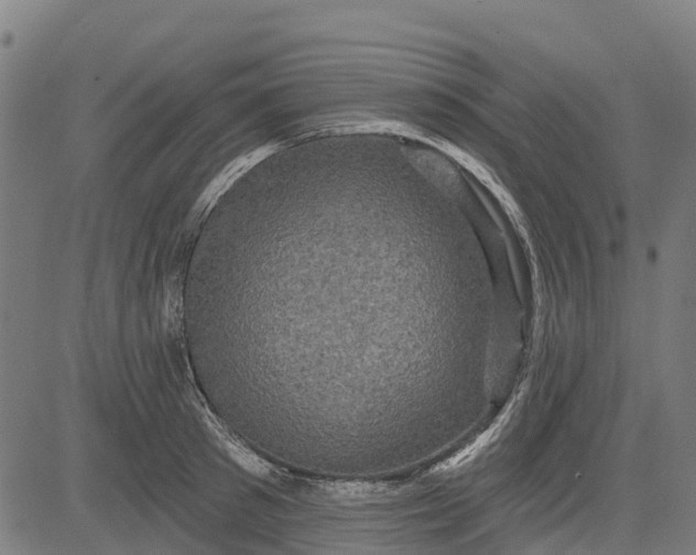 X0000084560897200703091742