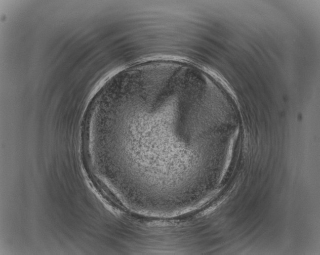 X0000084560898200703091742