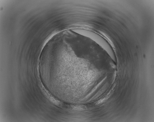 X0000084560899200703091742