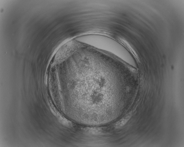 X0000084560900200703091742