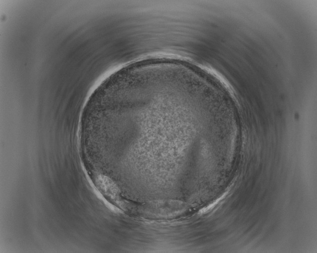 X0000084560902200703091742