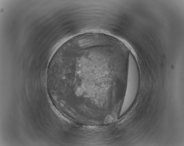 X0000084560903200703091742