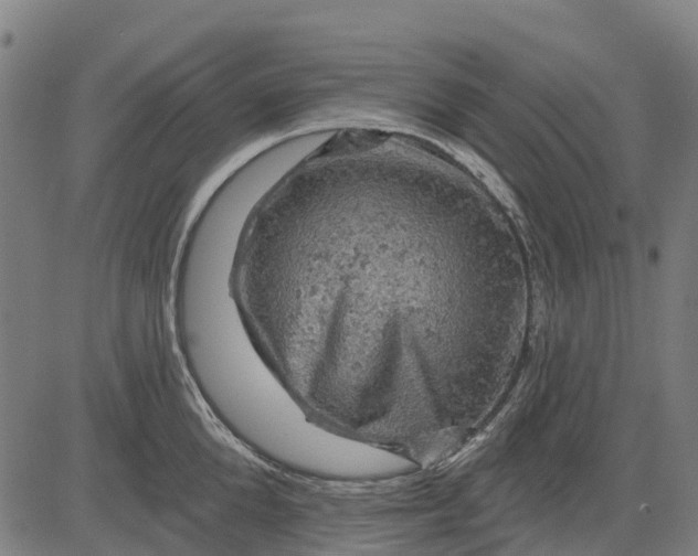 X0000084560904200703091742