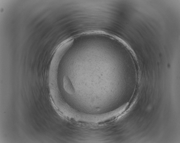 X0000084560905200703091742