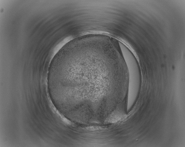 X0000084560906200703091742