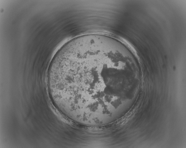 X0000084560907200703091742