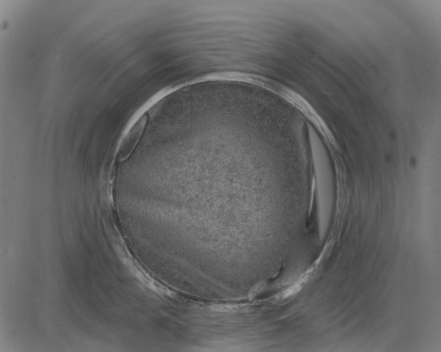 X0000084560908200703091742