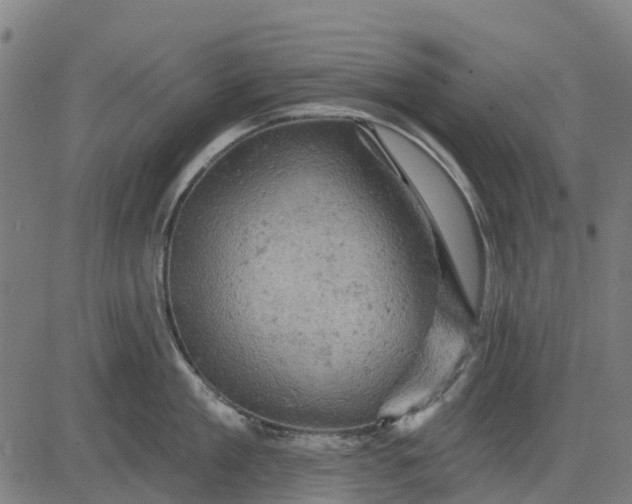 X0000084560909200703091742