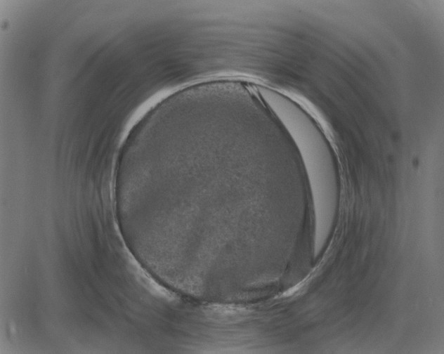 X0000084560910200703091742