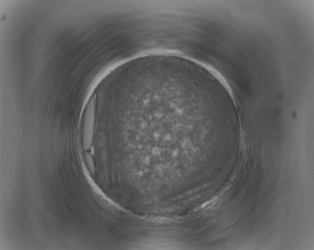 X0000084560911200703091742