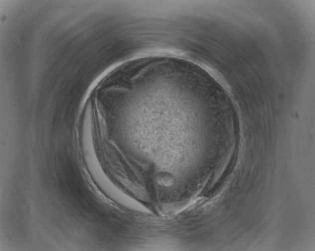 X0000084560912200703091742