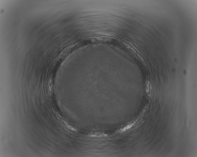 X0000084560915200703091741