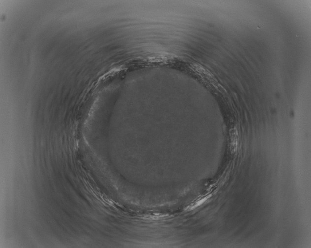 X0000084560916200703091741