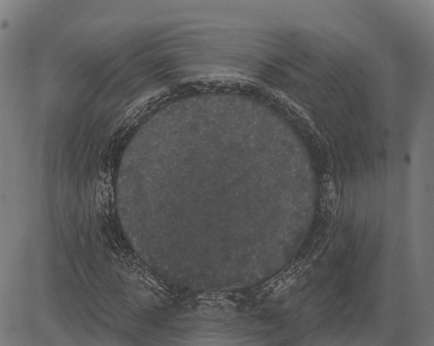 X0000084560918200703091741