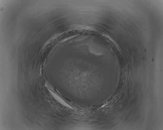 X0000084560919200703091741