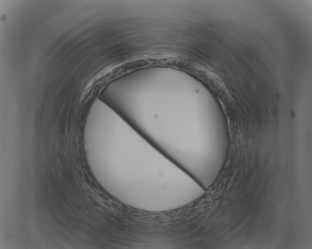 X0000084560920200703091741