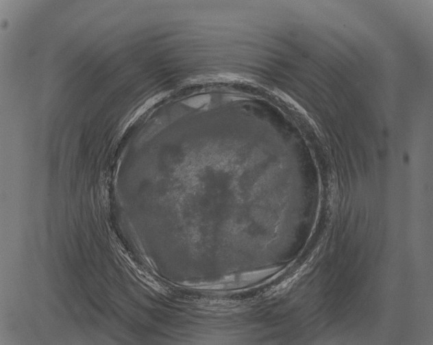 X0000084560921200703091741