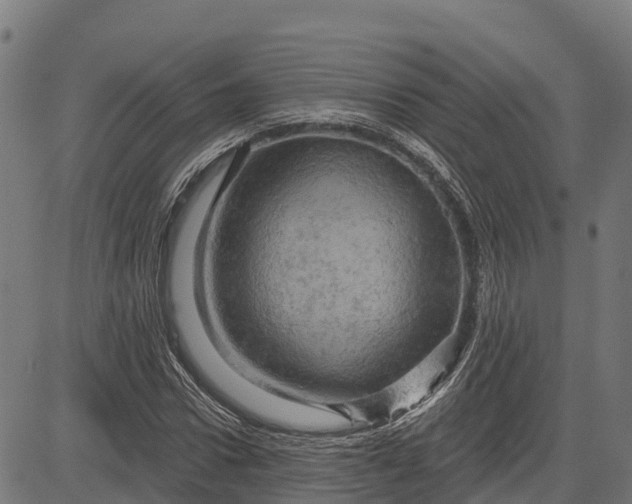 X0000084560922200703091741