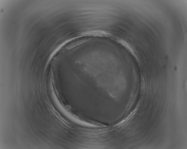 X0000084560923200703091741