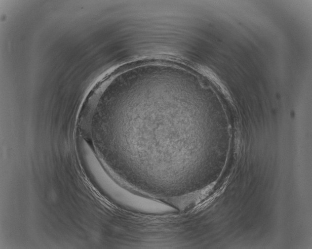 X0000084560924200703091741