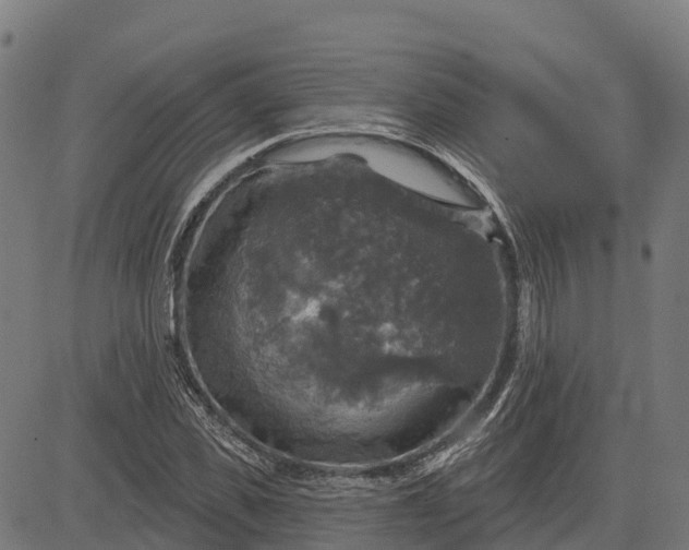 X0000084560925200703091741