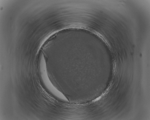 X0000084560926200703091741