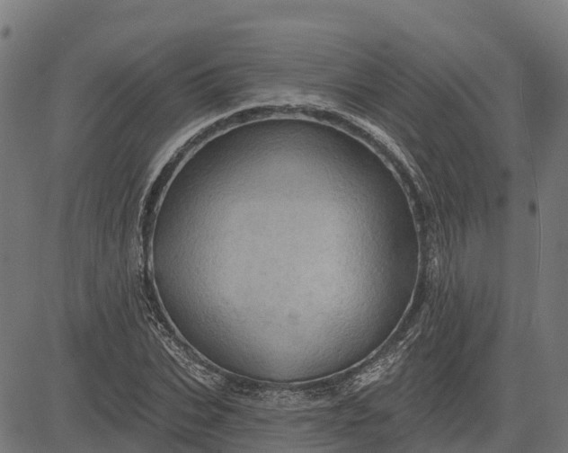 X0000084560927200703091741