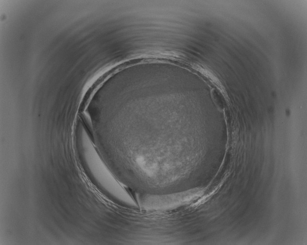 X0000084560928200703091741