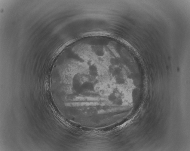 X0000084560929200703091741