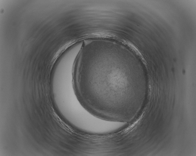 X0000084560930200703091741