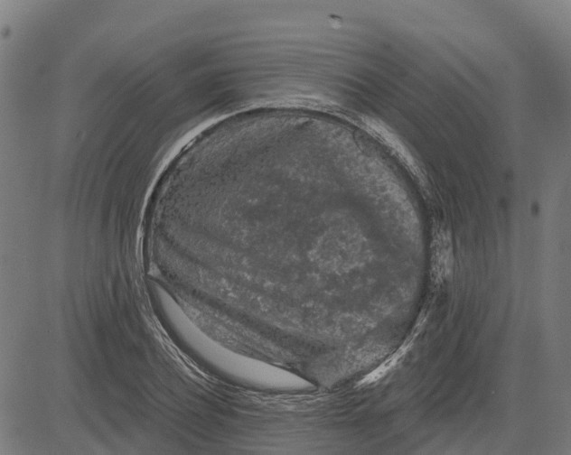 X0000084560932200703091741