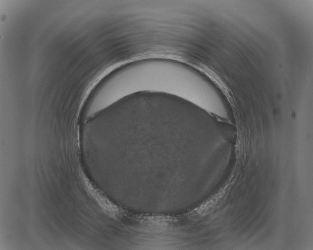 X0000084560934200703091741