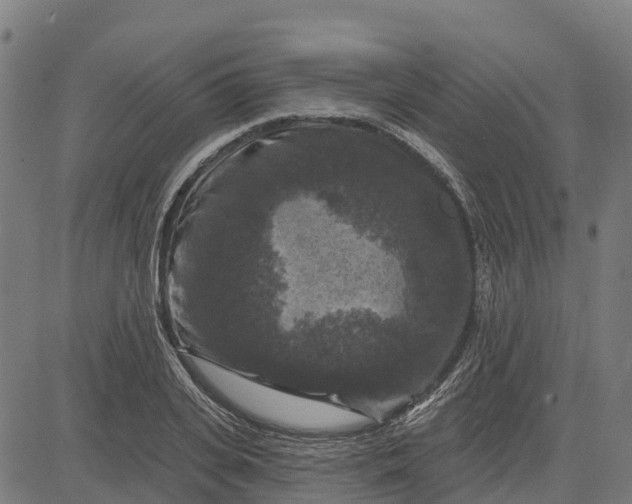 X0000084560935200703091741