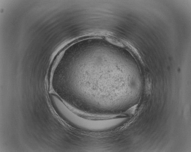 X0000084560936200703091741