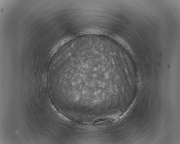 X0000084560937200703091741