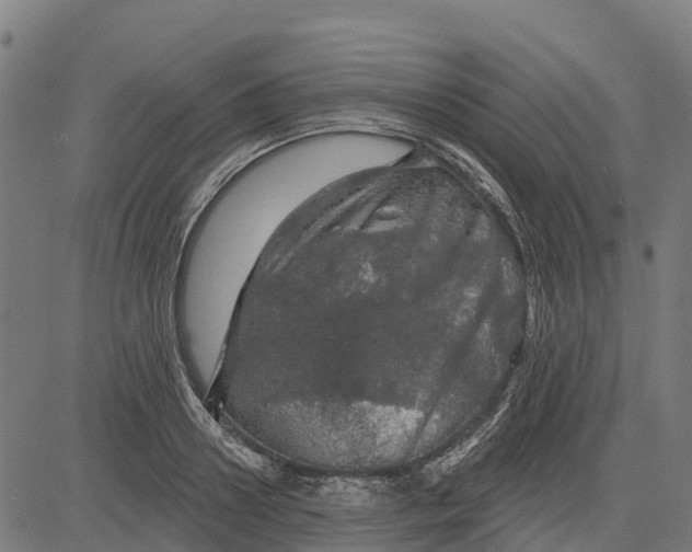 X0000084560938200703091741