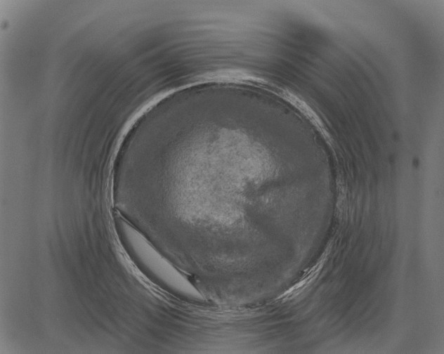 X0000084560939200703091741