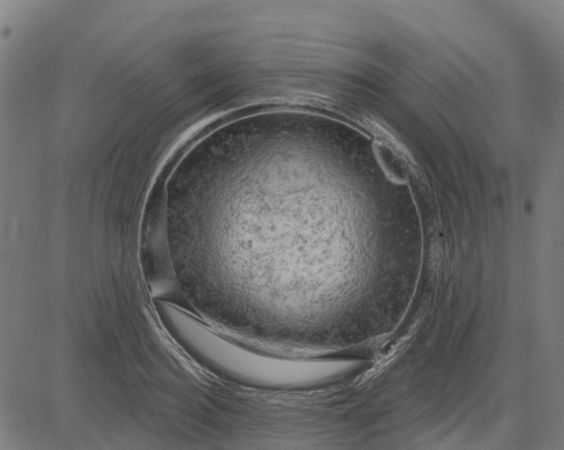 X0000084560940200703091741