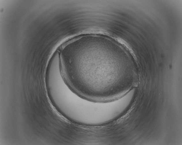 X0000084560942200703091741