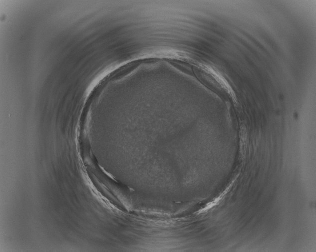 X0000084560944200703091741